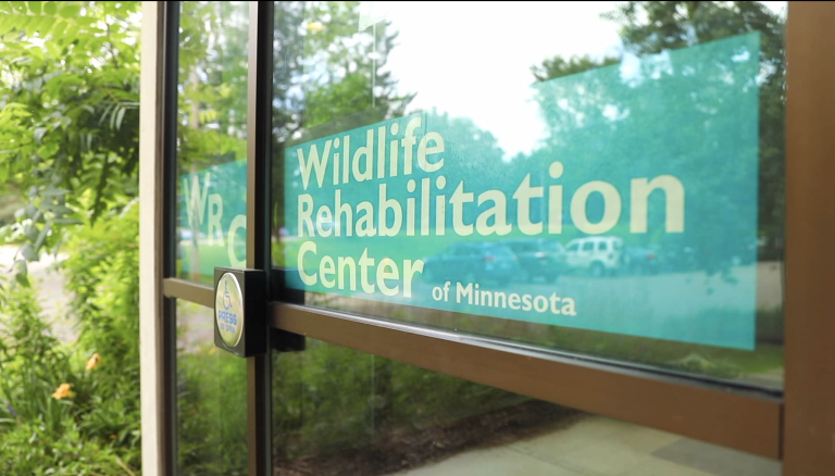 Screen Shot 2020-08-27 at 11.33.47 AM